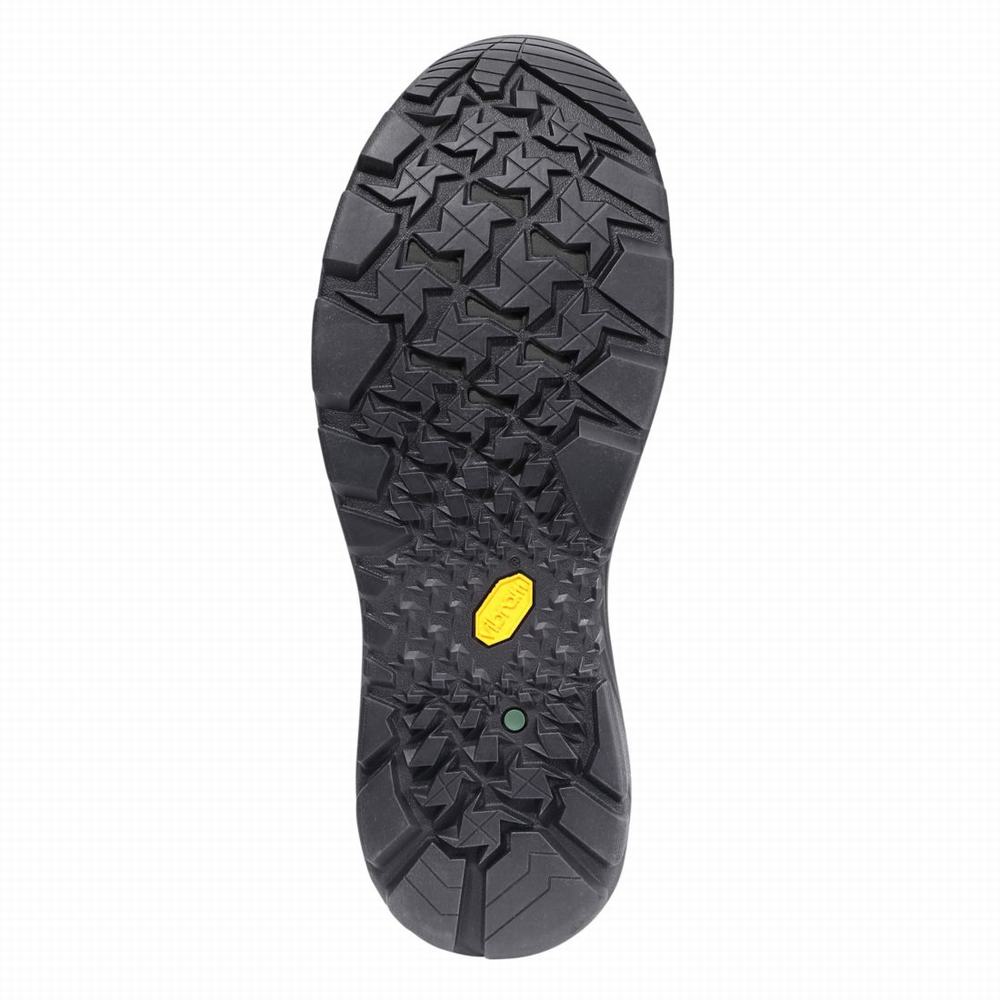 Pánské Pracovní Boty Timberland Trailwind Waterproof Comp-Špicí Hnědé Červené | TI86193-491