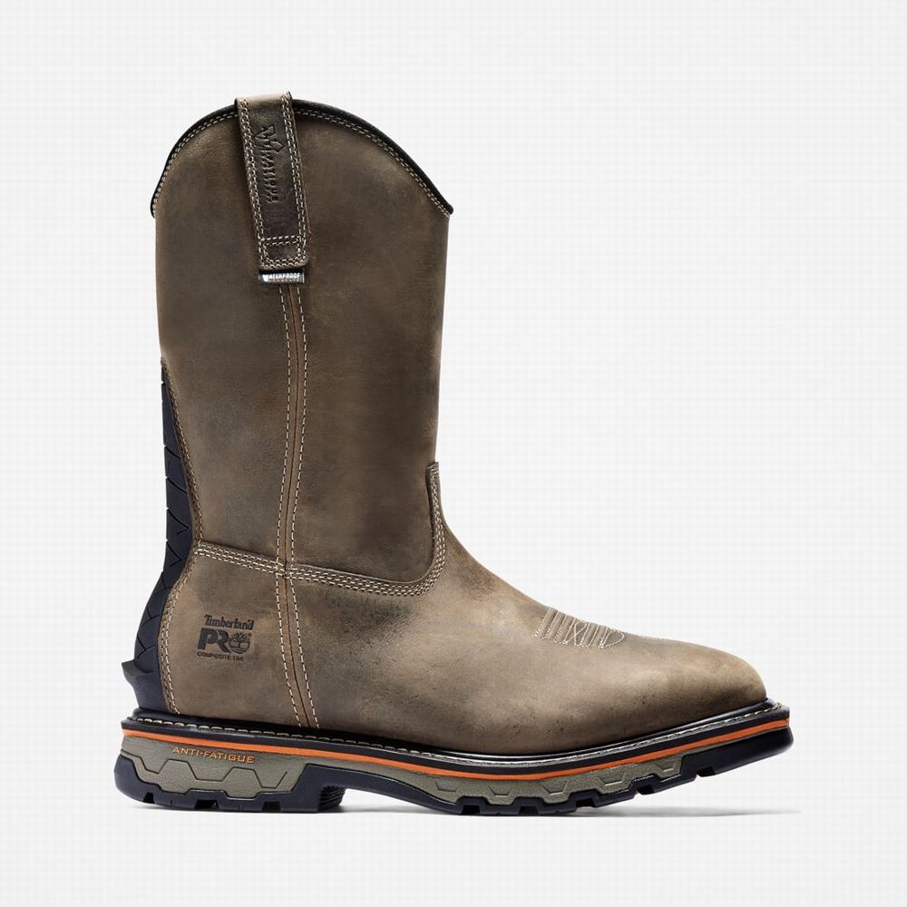 Pánské Pracovní Boty Timberland True Grit Pull On Waterproof Hnědé | TI56748-651