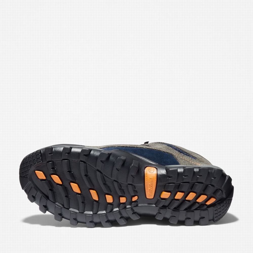 Pánské Pracovní Obuv Timberland Mudsill Steel Špicí Šedé Blankyt | TI16845-572