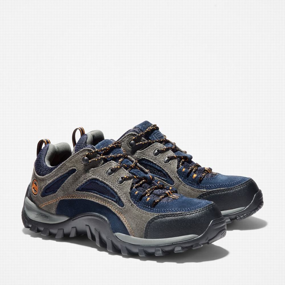 Pánské Pracovní Obuv Timberland Mudsill Steel Špicí Šedé Blankyt | TI16845-572
