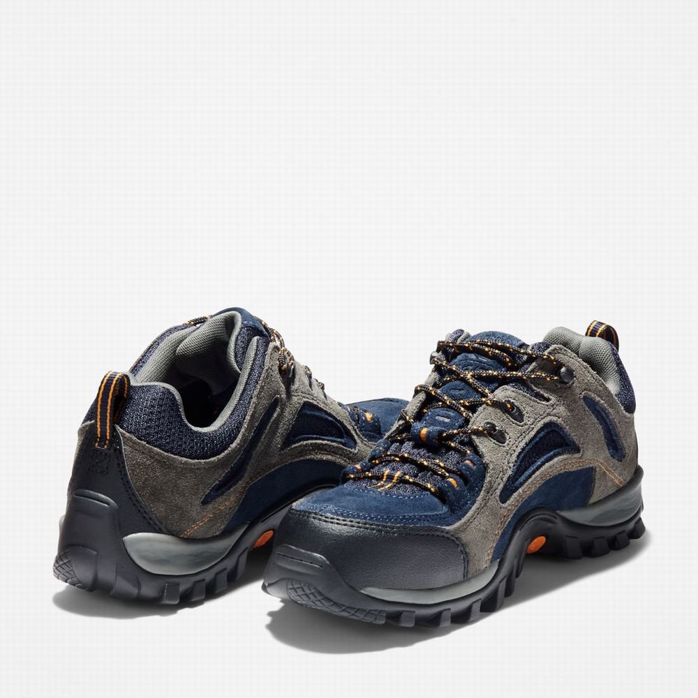 Pánské Pracovní Obuv Timberland Mudsill Steel Špicí Šedé Blankyt | TI16845-572
