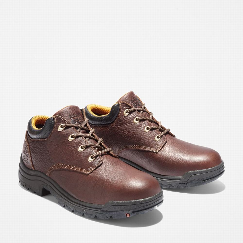 Pánské Pracovní Obuv Timberland TiTAN Běžné Hnědé | TI70659-314