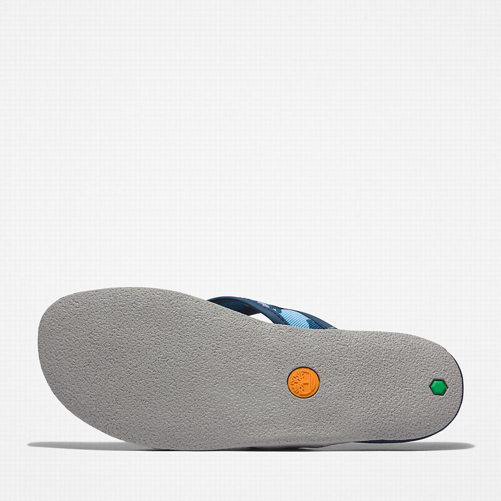 Pánské Sandály Timberland Seaton Bay Tanga Tmavě Blankyt | TI75204-872