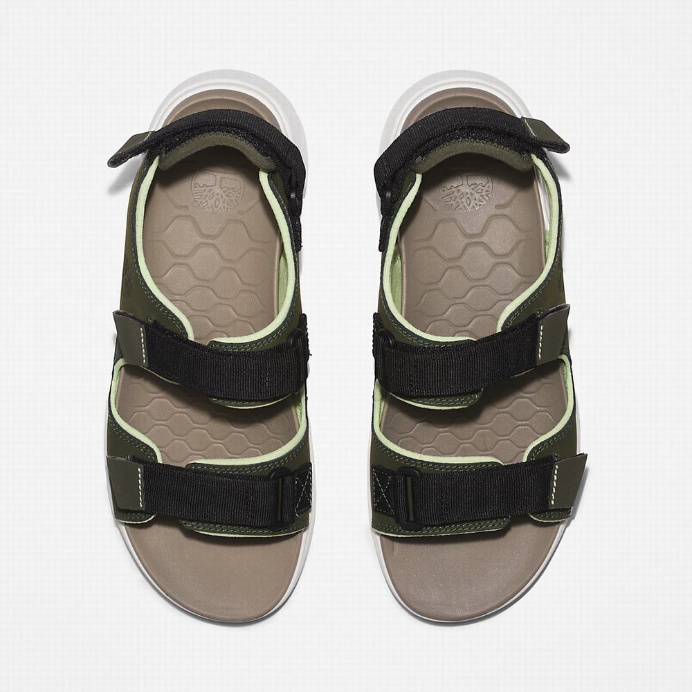 Pánské Sandály Timberland TBL® Whitehaven Backstrap Tmavě Zelene | TI54923-031