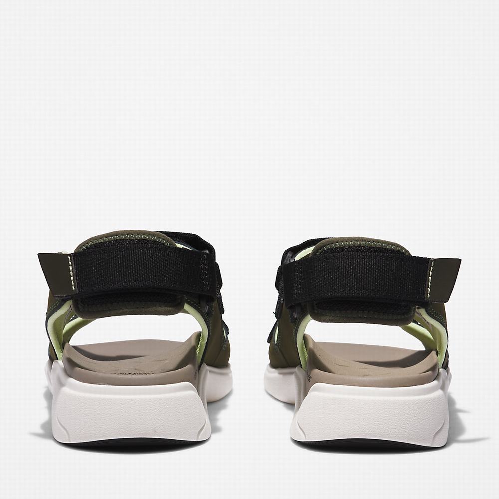 Pánské Sandály Timberland TBL® Whitehaven Backstrap Tmavě Zelene | TI54923-031