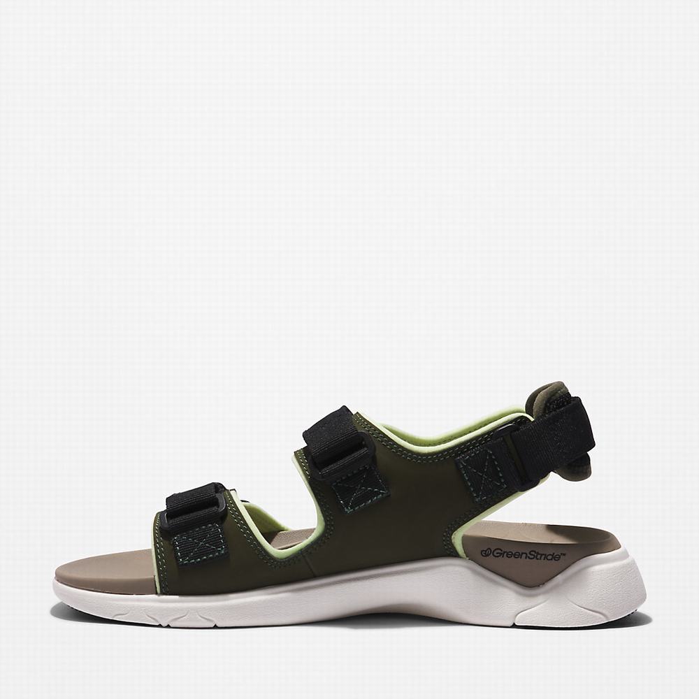 Pánské Sandály Timberland TBL® Whitehaven Backstrap Tmavě Zelene | TI54923-031