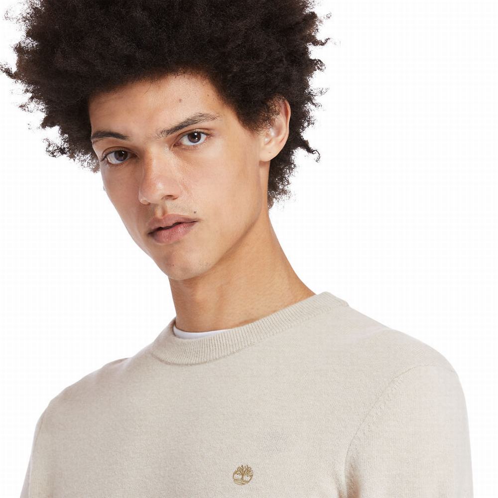 Pánské Svetry Timberland Cohas Brook Crewneck Béžový | TI09352-948