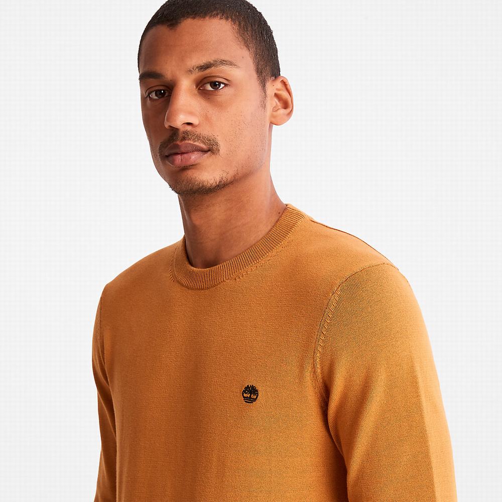 Pánské Svetry Timberland Williams River Organic Bavlněné Žluté | TI17324-314
