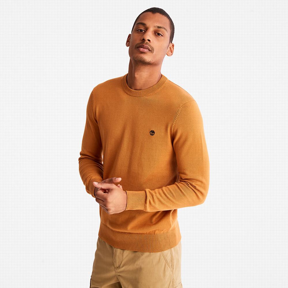 Pánské Svetry Timberland Williams River Organic Bavlněné Žluté | TI17324-314