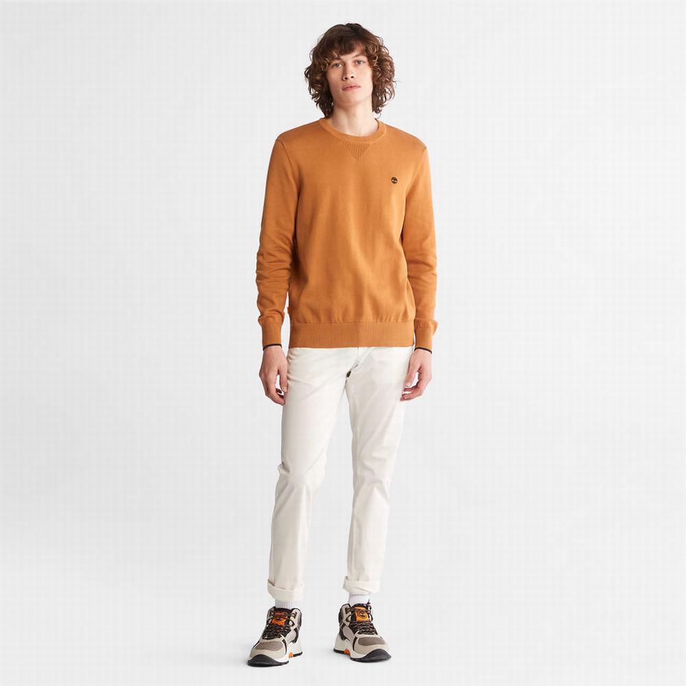 Pánské Svetry Timberland Williams River Organic Bavlněné Žluté | TI65374-216