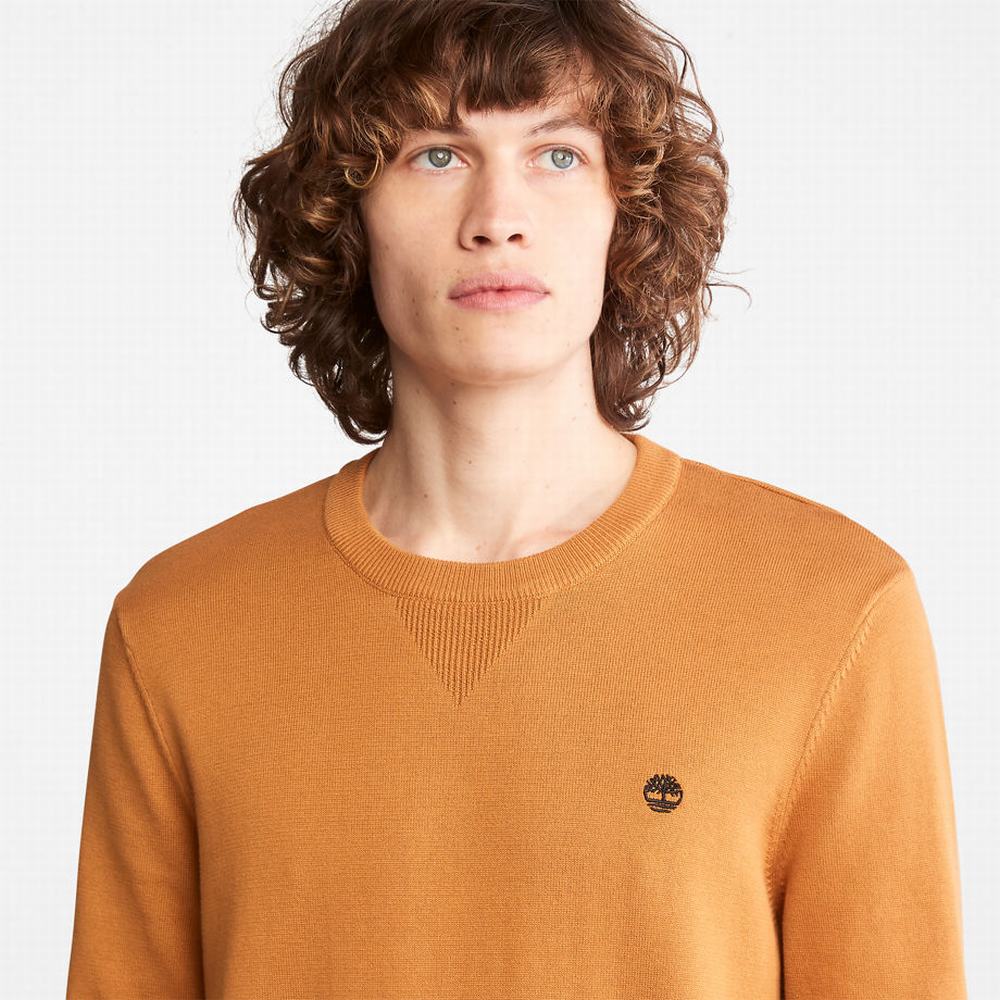 Pánské Svetry Timberland Williams River Organic Bavlněné Žluté | TI65374-216