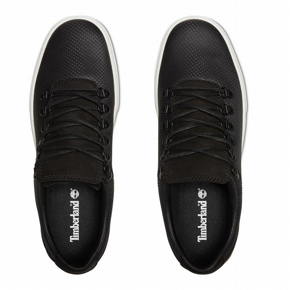 Pánské Tenisky Timberland Adventure 2.0 Alpine Oxford Černé | TI07938-153