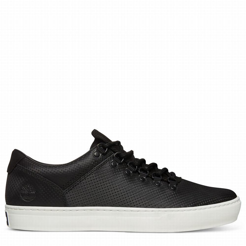 Pánské Tenisky Timberland Adventure 2.0 Alpine Oxford Černé | TI07938-153
