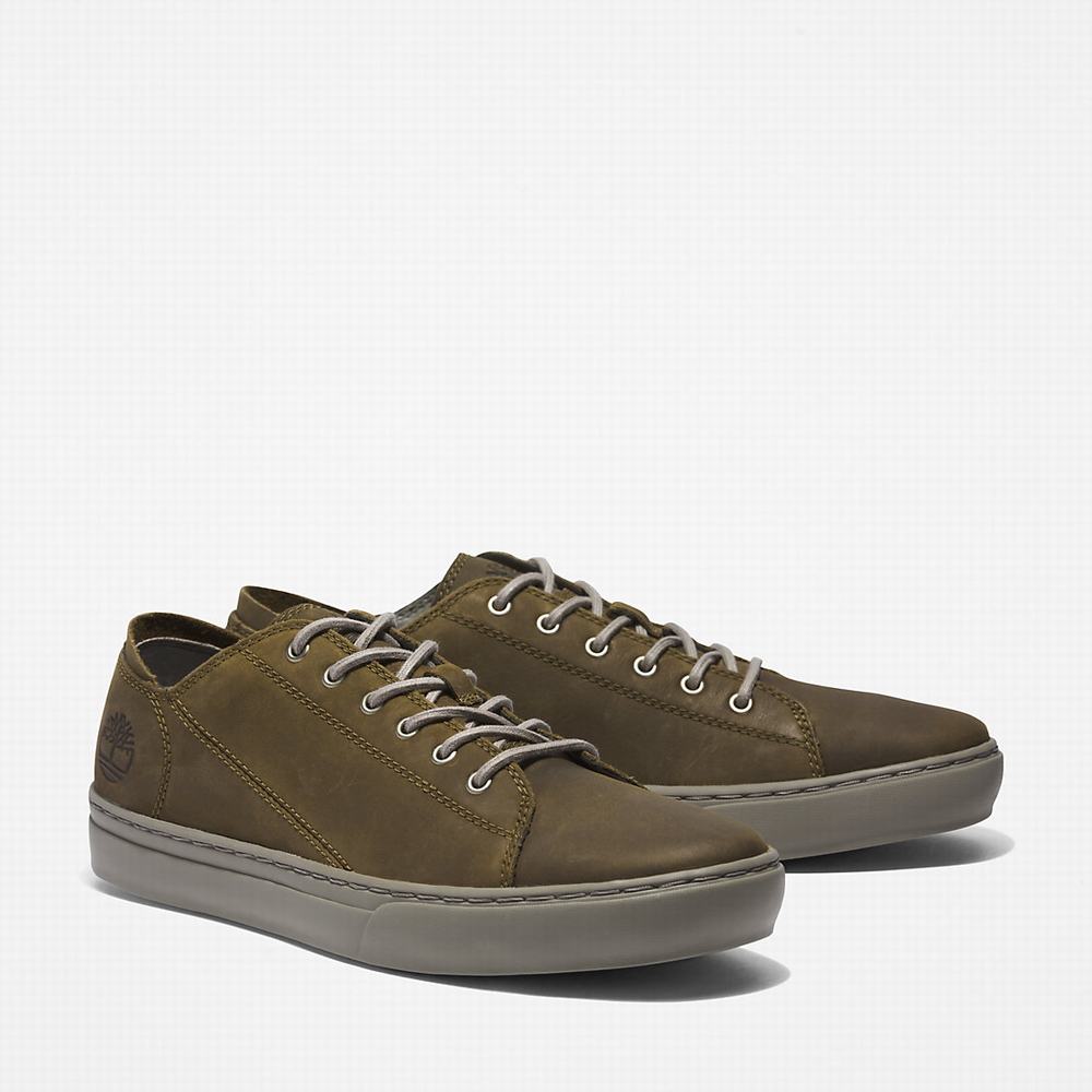 Pánské Tenisky Timberland Adventure 2.0 Oxford Zelene | TI25893-965