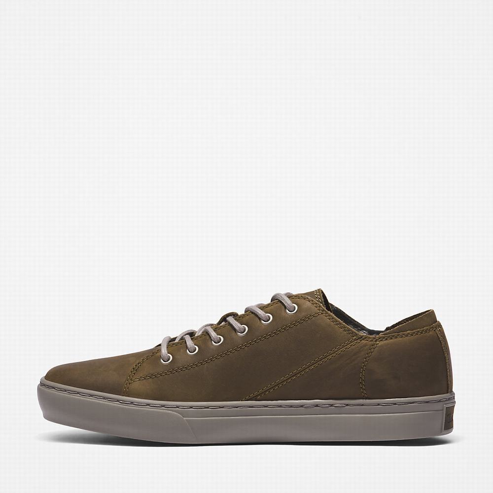 Pánské Tenisky Timberland Adventure 2.0 Oxford Zelene | TI25893-965