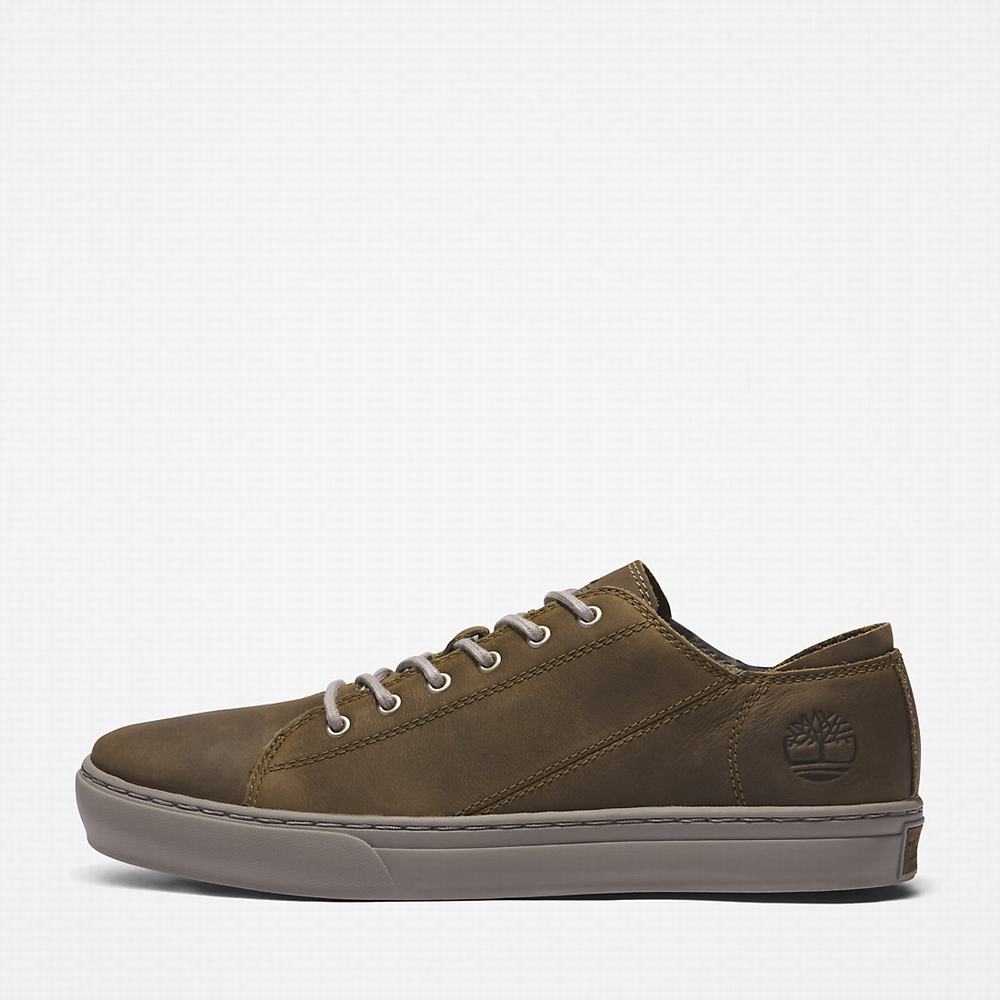 Pánské Tenisky Timberland Adventure 2.0 Oxford Zelene | TI25893-965
