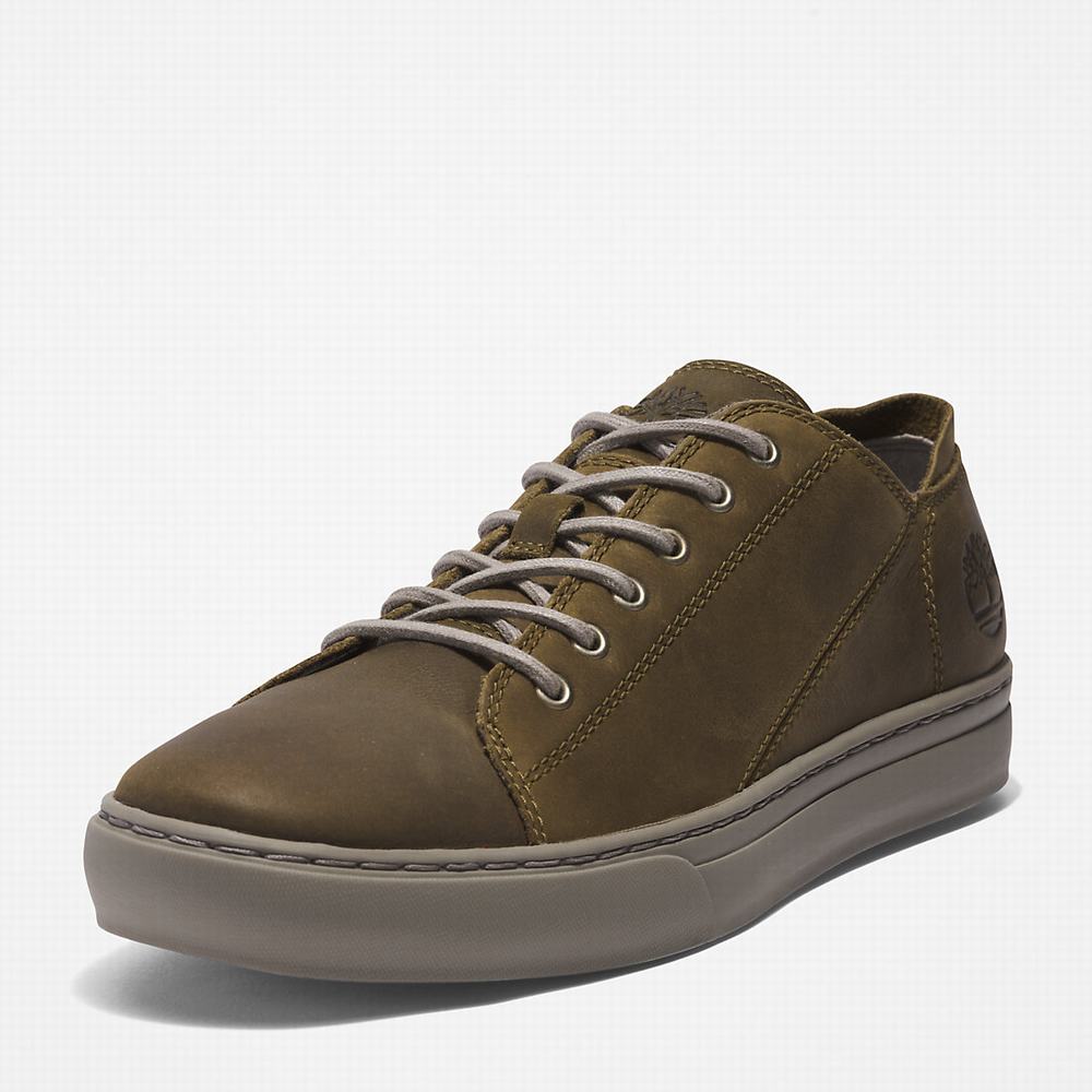 Pánské Tenisky Timberland Adventure 2.0 Oxford Zelene | TI25893-965