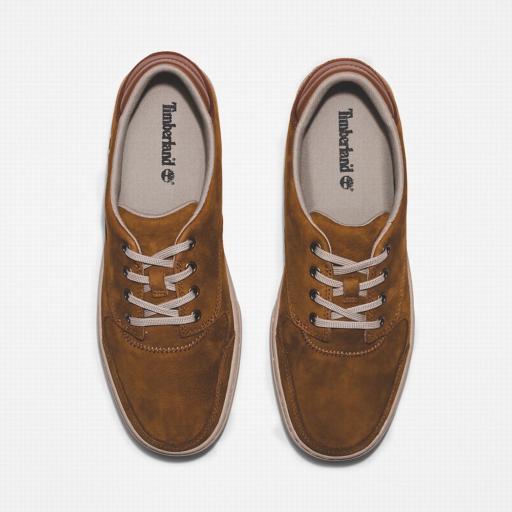 Pánské Tenisky Timberland Adventure 2.0 Low Hnědé | TI39671-150