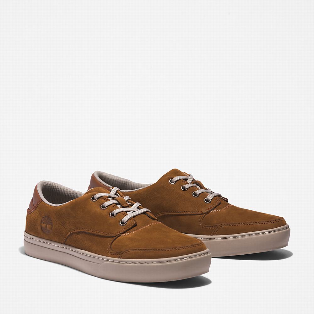 Pánské Tenisky Timberland Adventure 2.0 Low Hnědé | TI39671-150