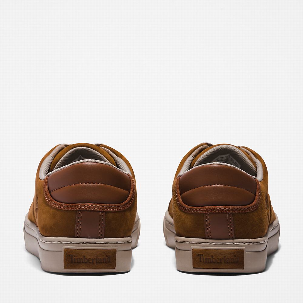 Pánské Tenisky Timberland Adventure 2.0 Low Hnědé | TI39671-150