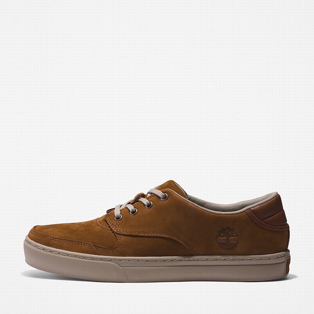 Pánské Tenisky Timberland Adventure 2.0 Low Hnědé | TI39671-150