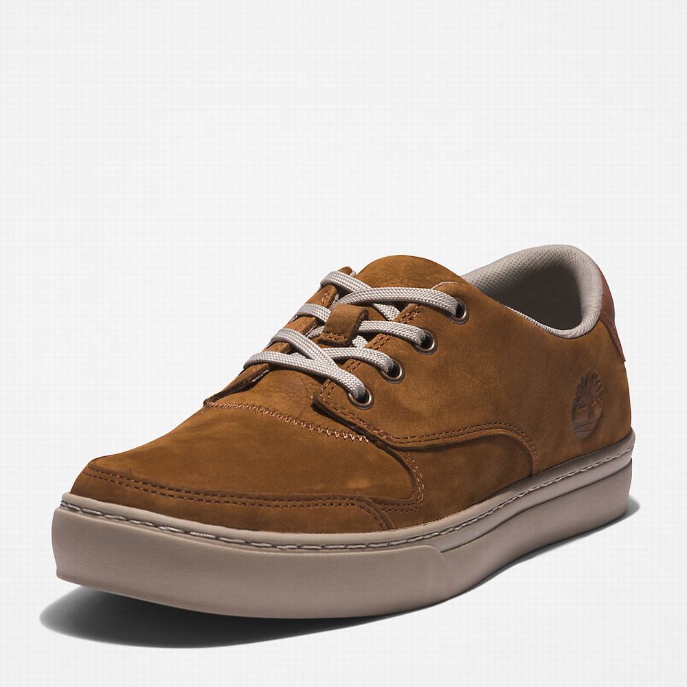 Pánské Tenisky Timberland Adventure 2.0 Low Hnědé | TI39671-150