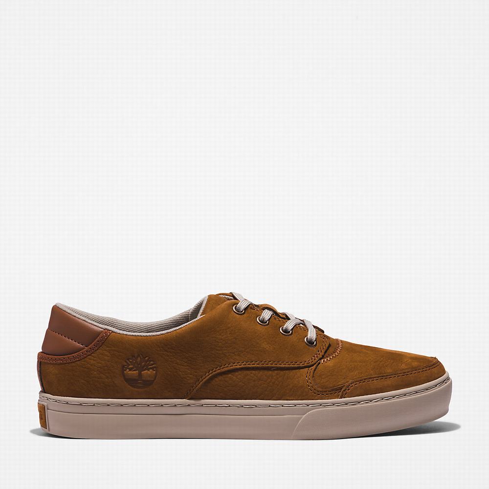Pánské Tenisky Timberland Adventure 2.0 Low Hnědé | TI39671-150