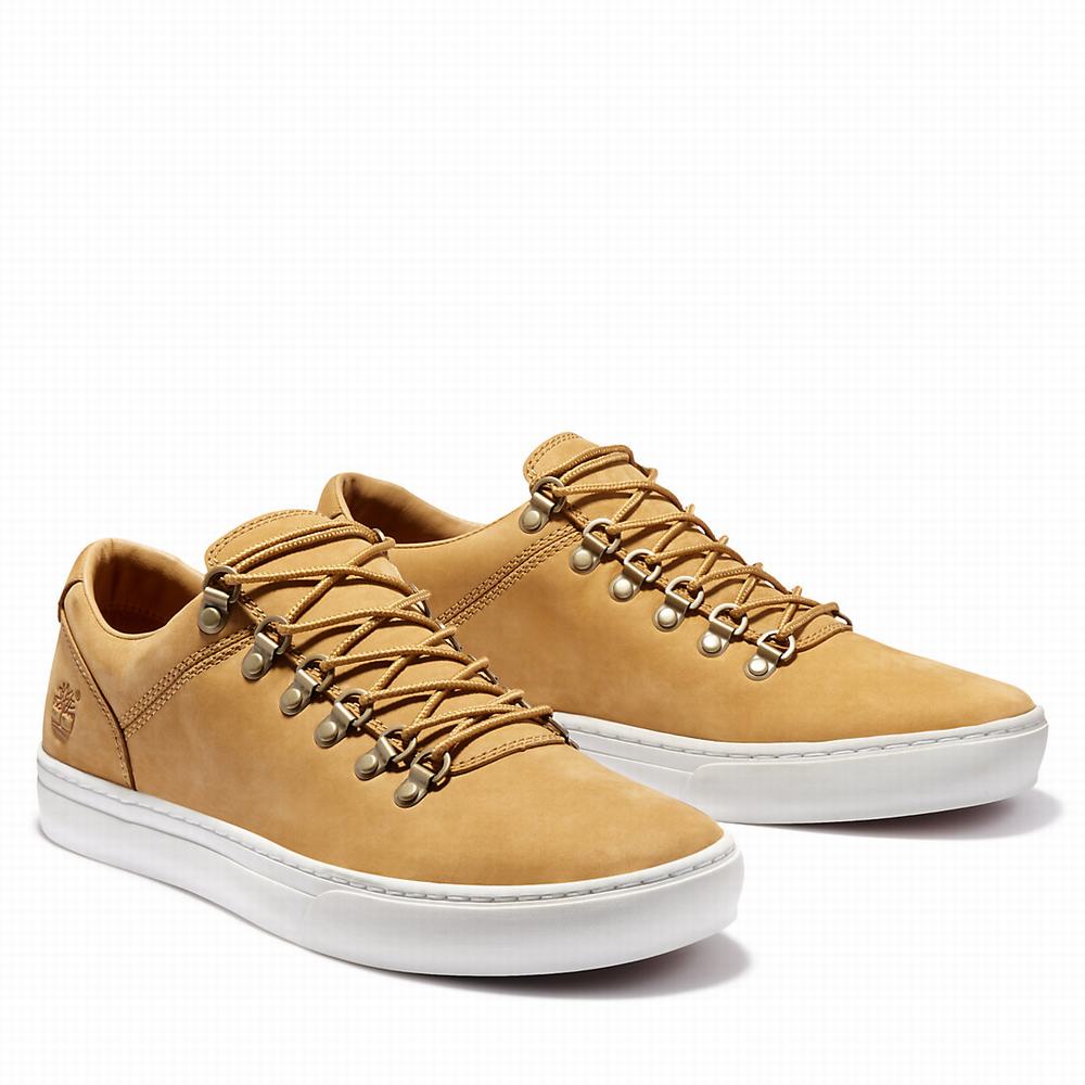 Pánské Tenisky Timberland Adventure 2.0 Cupsole Alpine Žluté | TI45612-187