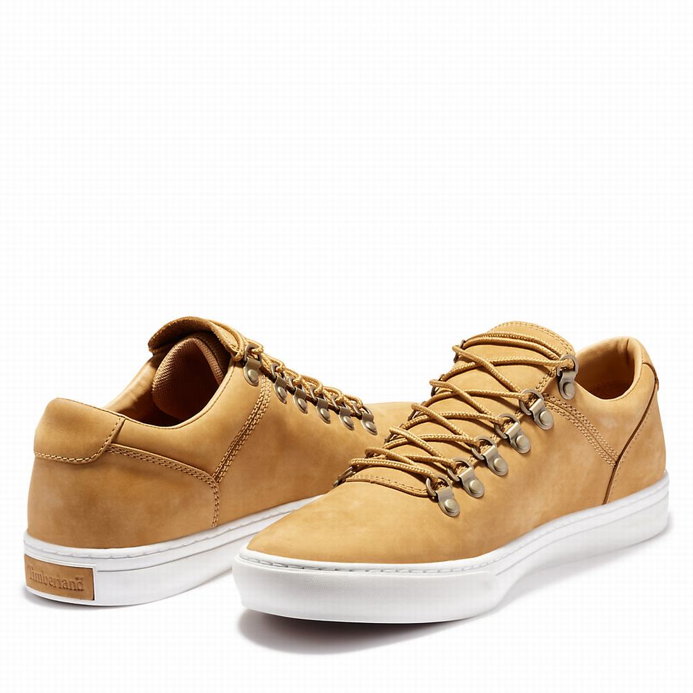 Pánské Tenisky Timberland Adventure 2.0 Cupsole Alpine Žluté | TI45612-187