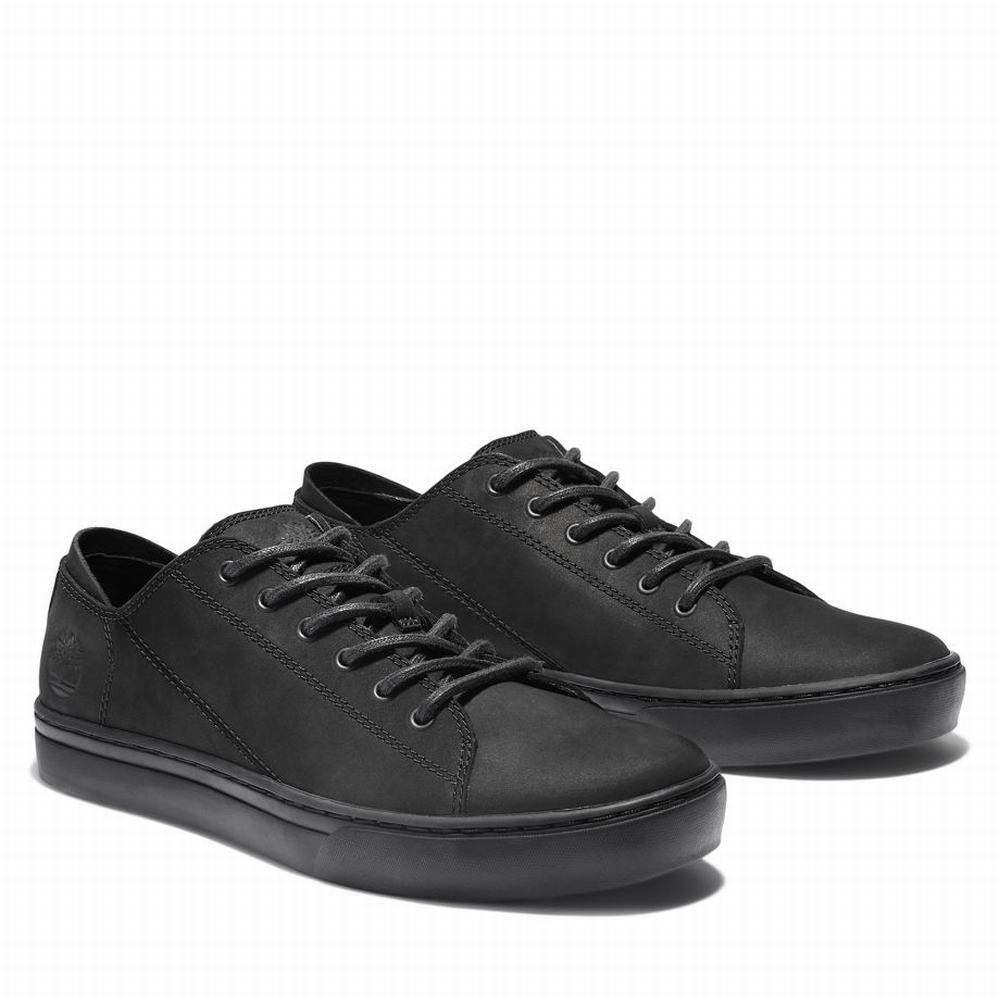 Pánské Tenisky Timberland Adventure 2.0 Černé | TI61423-852