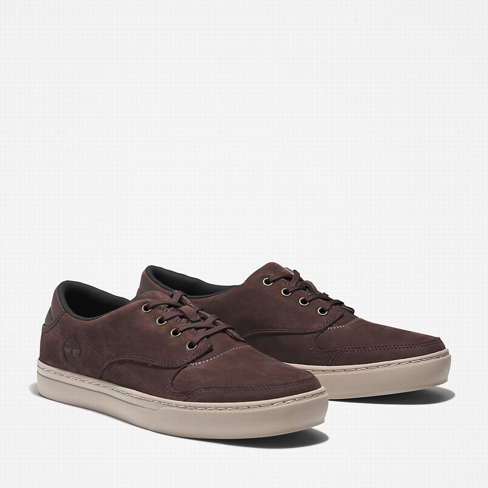 Pánské Tenisky Timberland Adventure 2.0 Low Tmavě Hnědé | TI72304-826