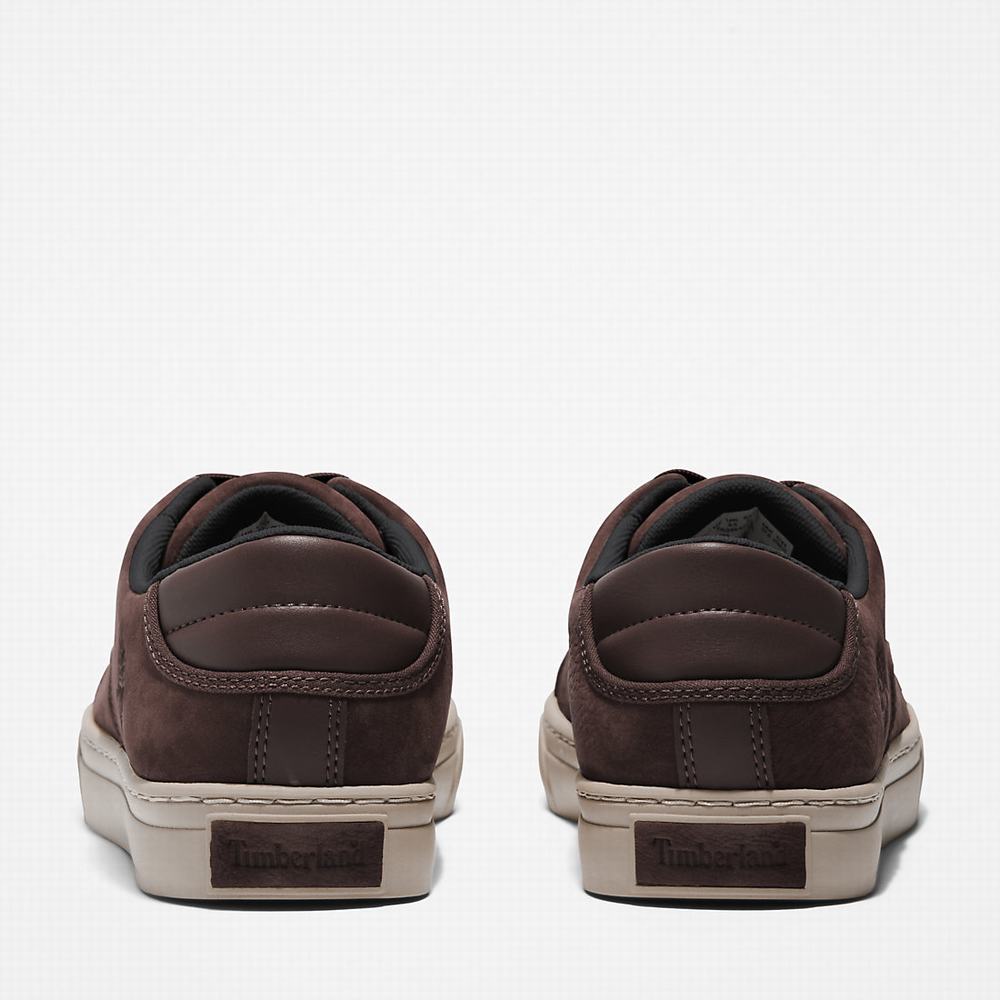Pánské Tenisky Timberland Adventure 2.0 Low Tmavě Hnědé | TI72304-826