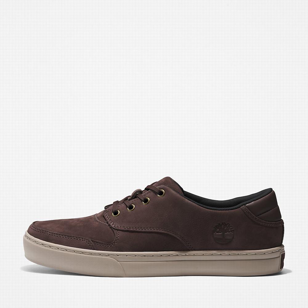 Pánské Tenisky Timberland Adventure 2.0 Low Tmavě Hnědé | TI72304-826