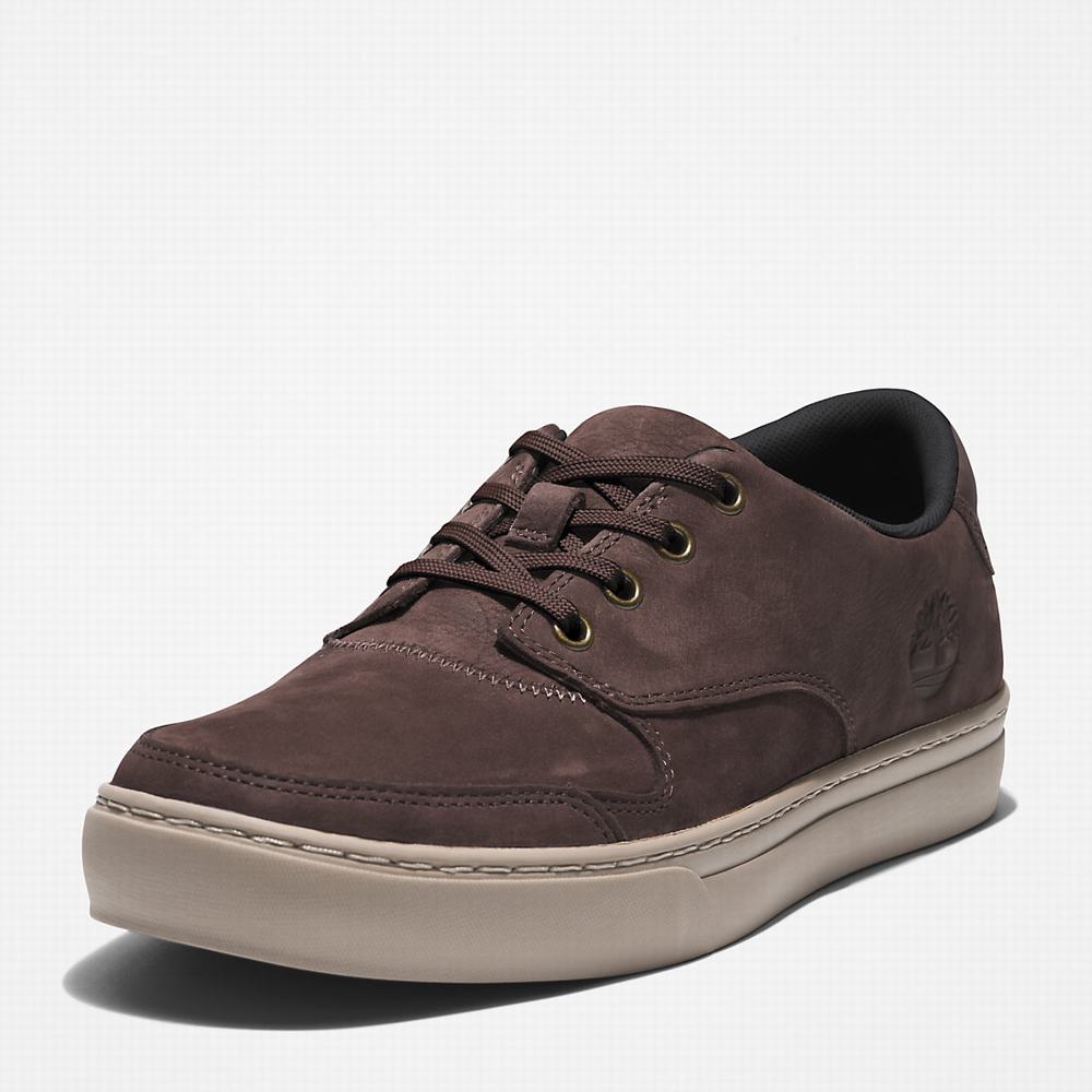 Pánské Tenisky Timberland Adventure 2.0 Low Tmavě Hnědé | TI72304-826