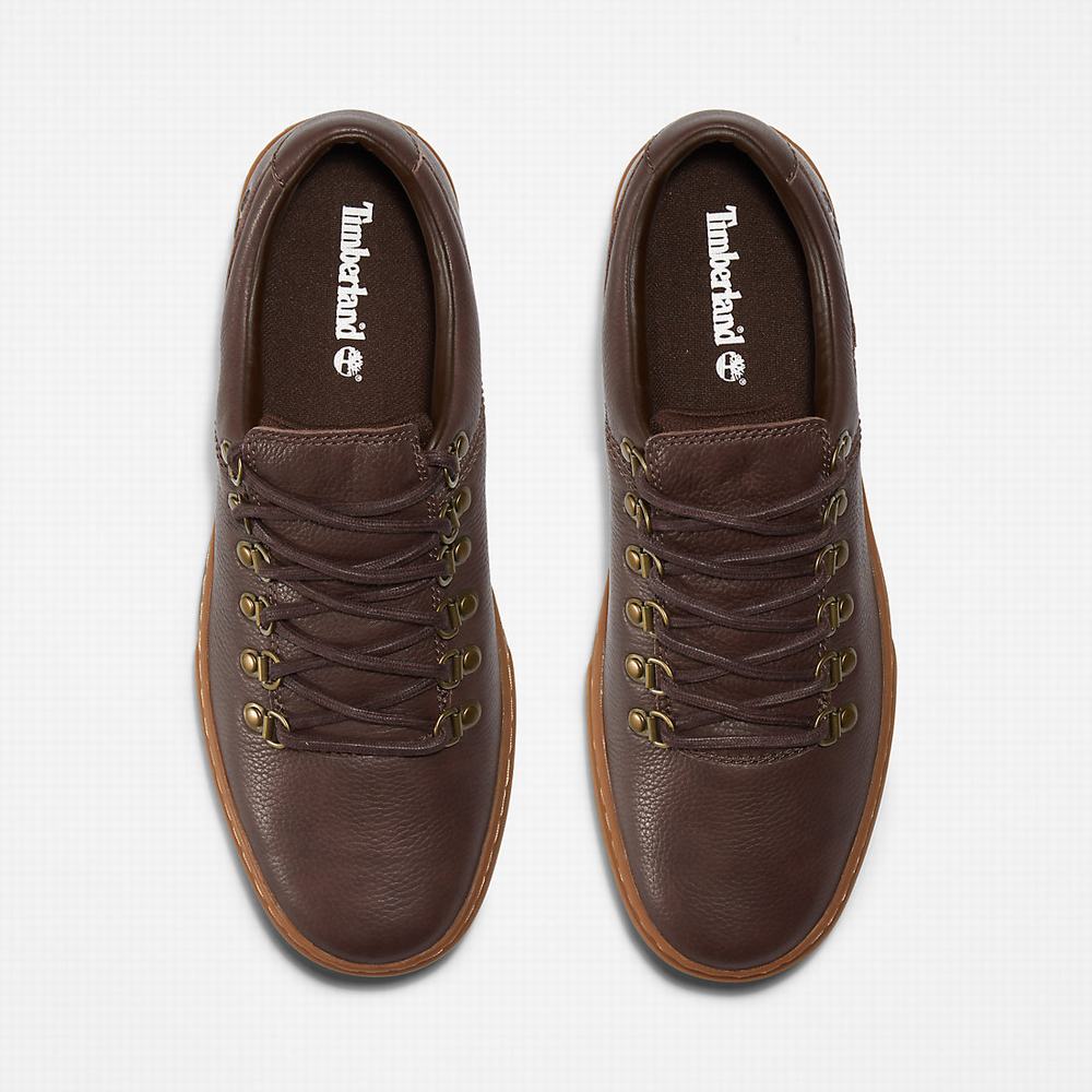 Pánské Tenisky Timberland Adventure 2.0 Cupsole Alpine Tmavě Hnědé | TI76830-927