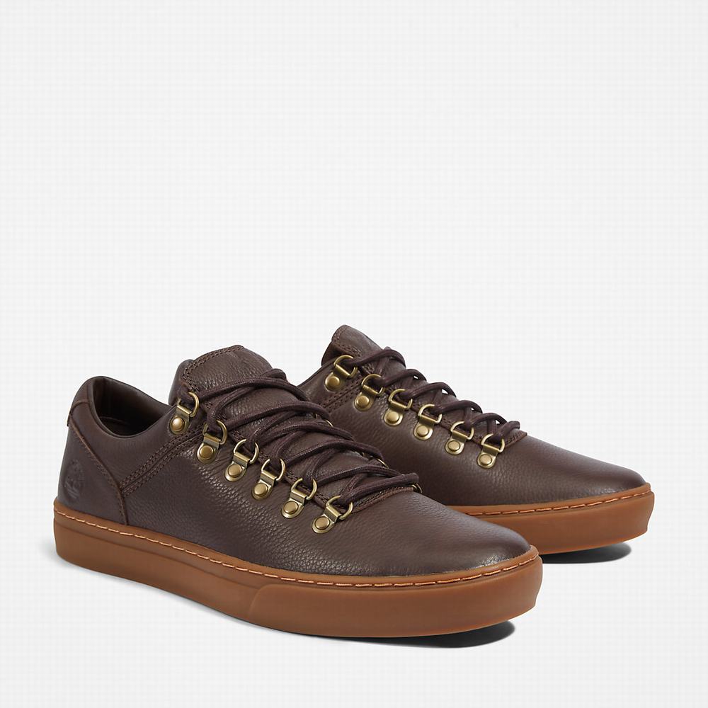 Pánské Tenisky Timberland Adventure 2.0 Cupsole Alpine Tmavě Hnědé | TI76830-927