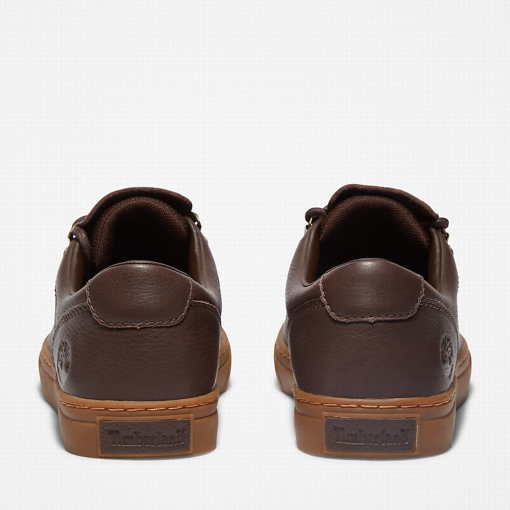 Pánské Tenisky Timberland Adventure 2.0 Cupsole Alpine Tmavě Hnědé | TI76830-927