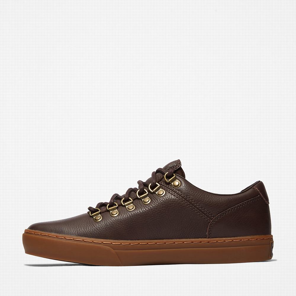 Pánské Tenisky Timberland Adventure 2.0 Cupsole Alpine Tmavě Hnědé | TI76830-927