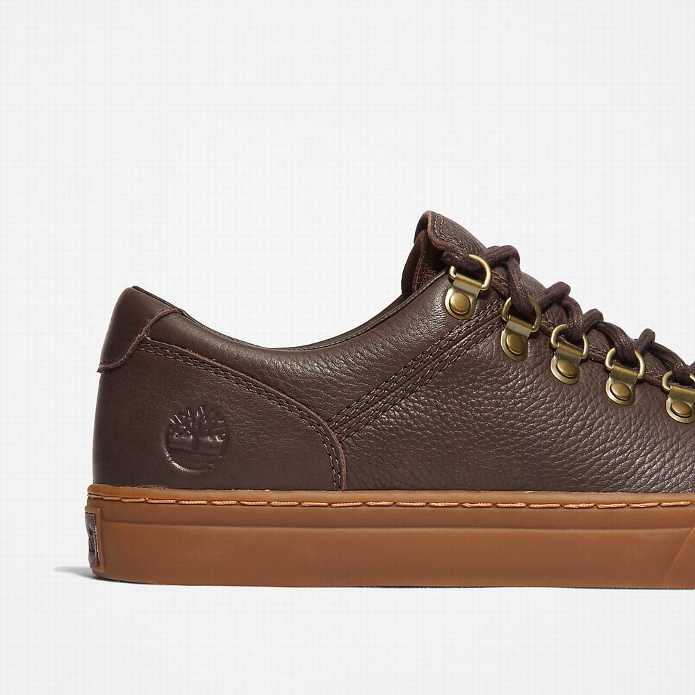 Pánské Tenisky Timberland Adventure 2.0 Cupsole Alpine Tmavě Hnědé | TI76830-927