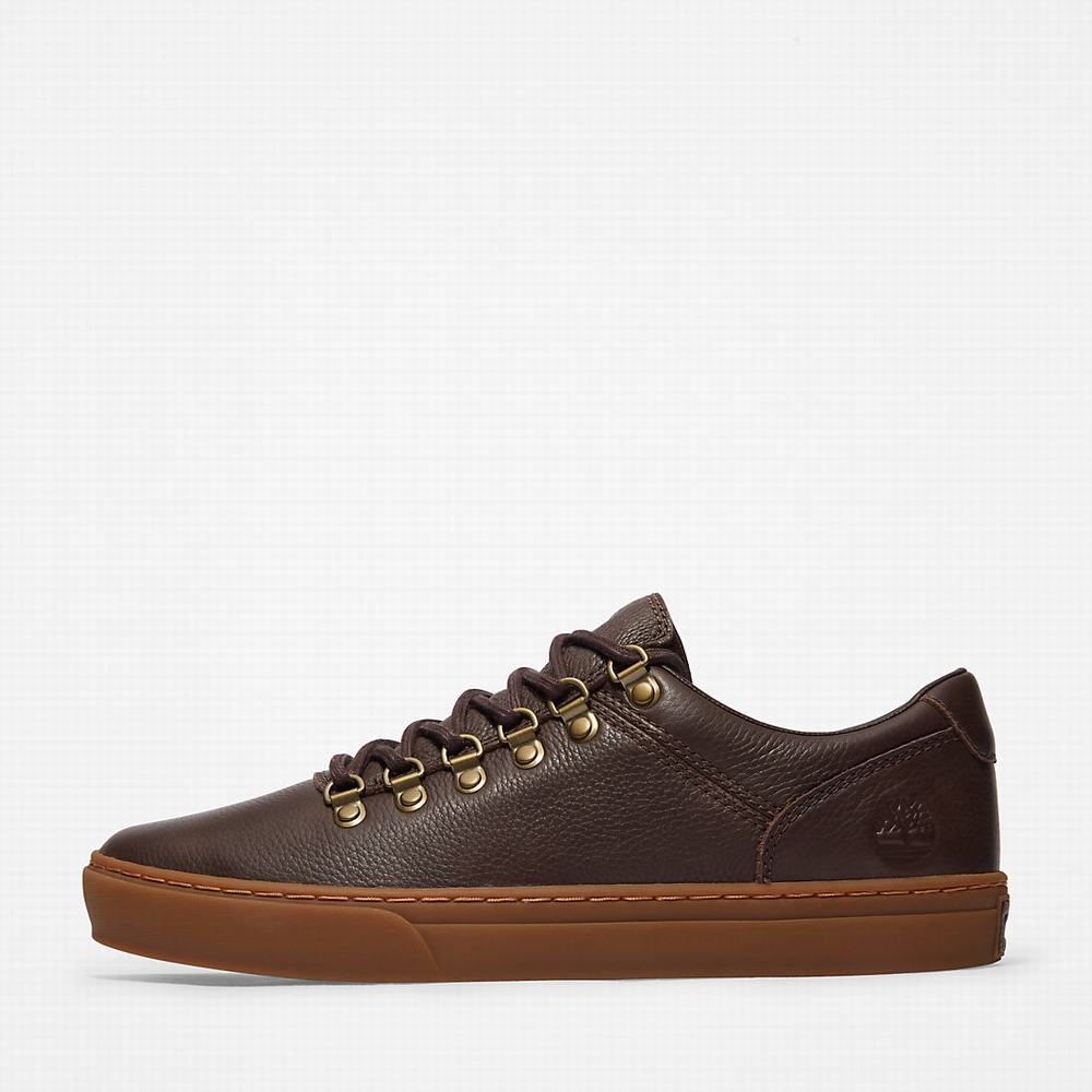 Pánské Tenisky Timberland Adventure 2.0 Cupsole Alpine Tmavě Hnědé | TI76830-927