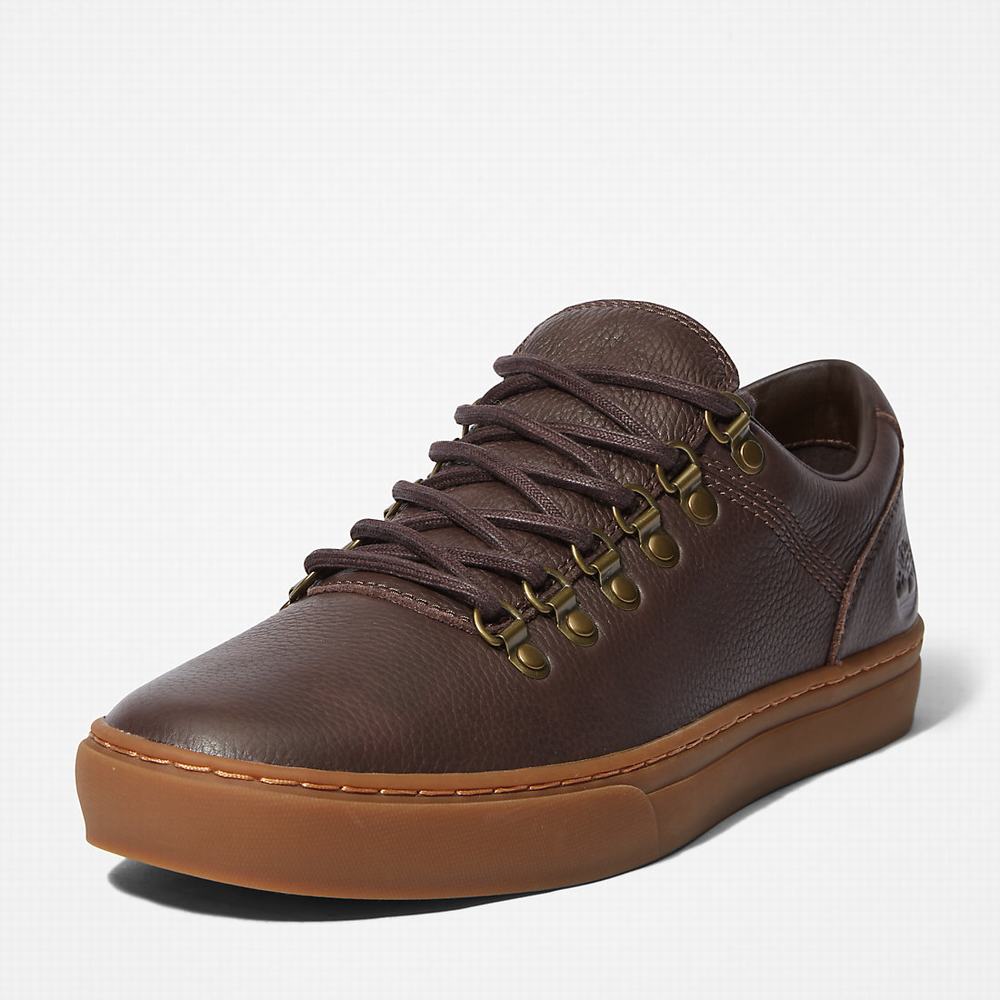 Pánské Tenisky Timberland Adventure 2.0 Cupsole Alpine Tmavě Hnědé | TI76830-927