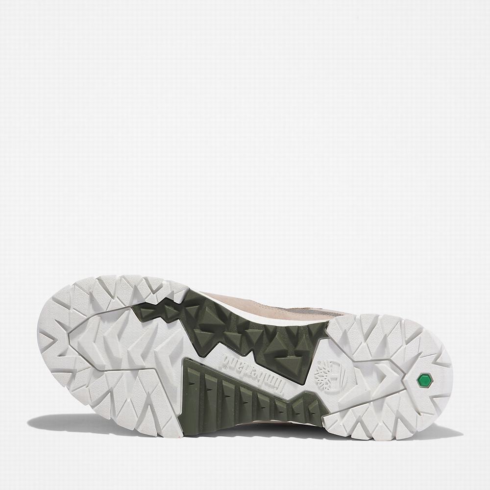 Pánské Tenisky Timberland Boulder Trailové Béžový | TI45927-790