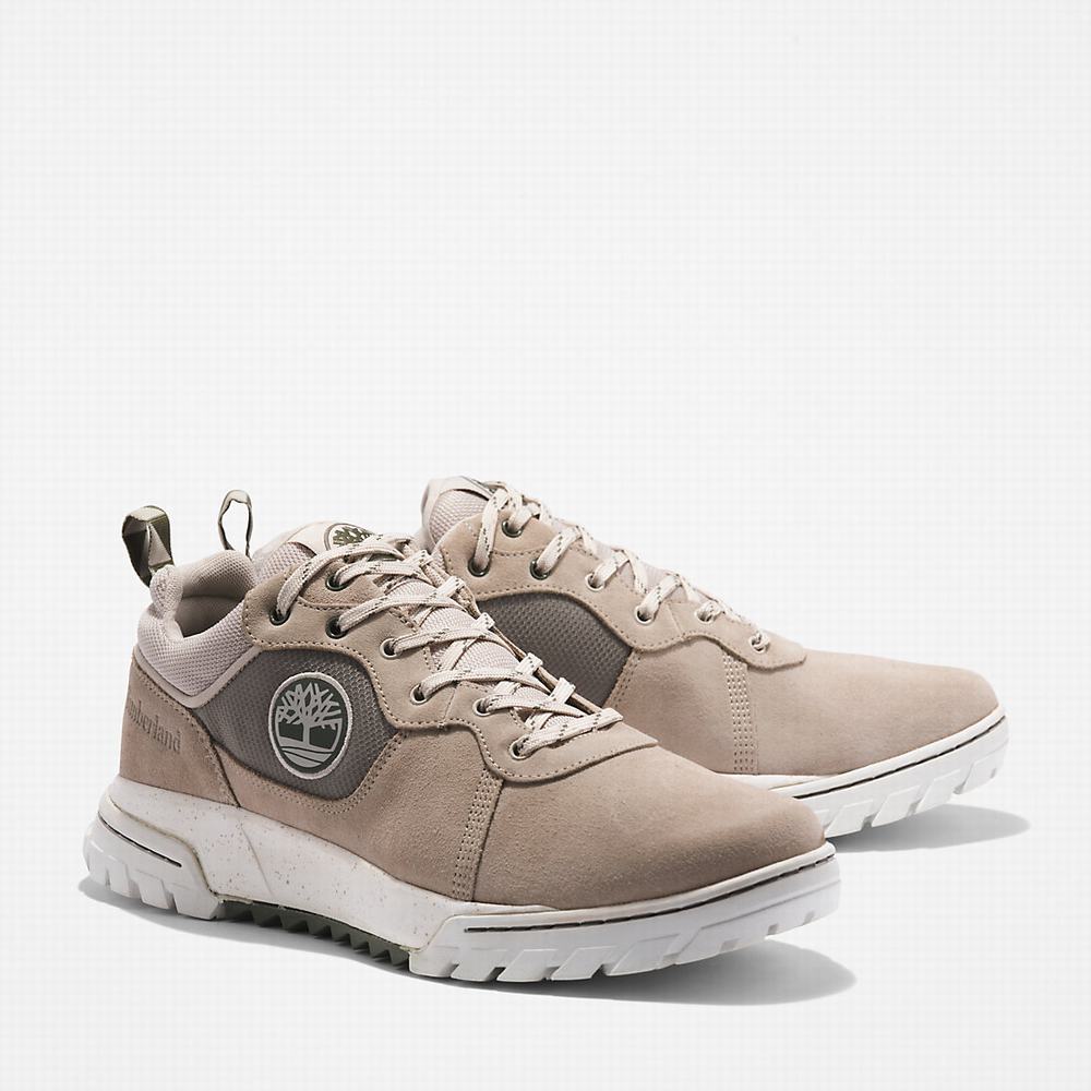 Pánské Tenisky Timberland Boulder Trailové Béžový | TI45927-790