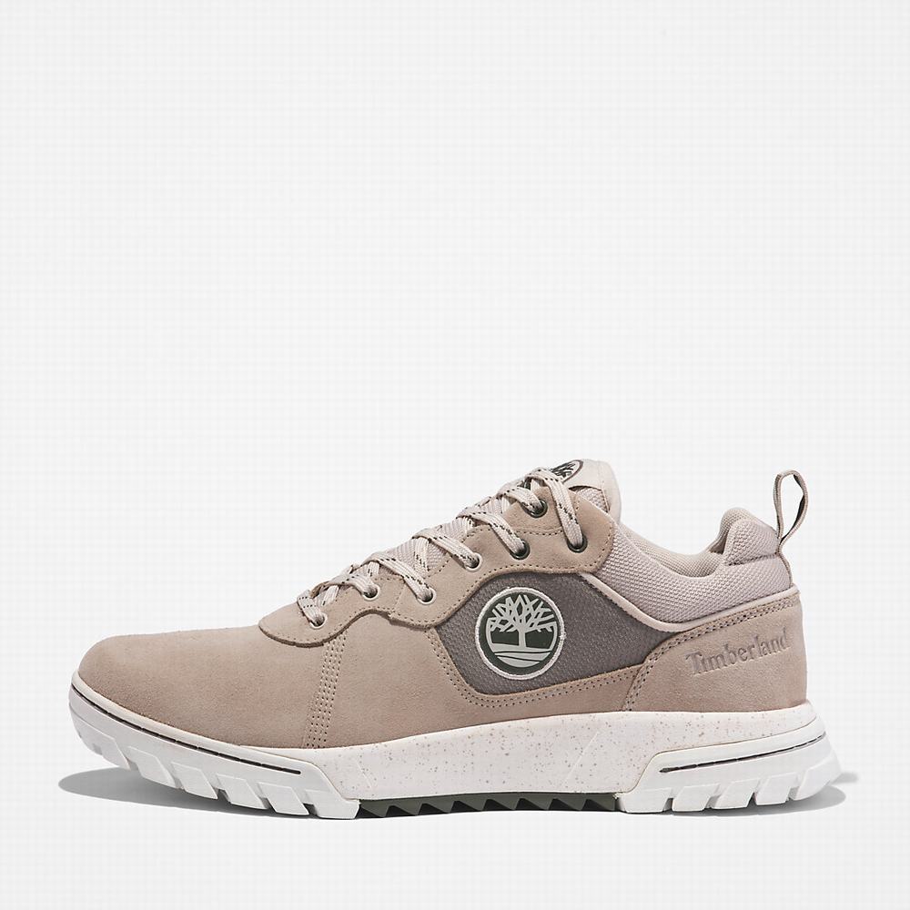 Pánské Tenisky Timberland Boulder Trailové Béžový | TI45927-790