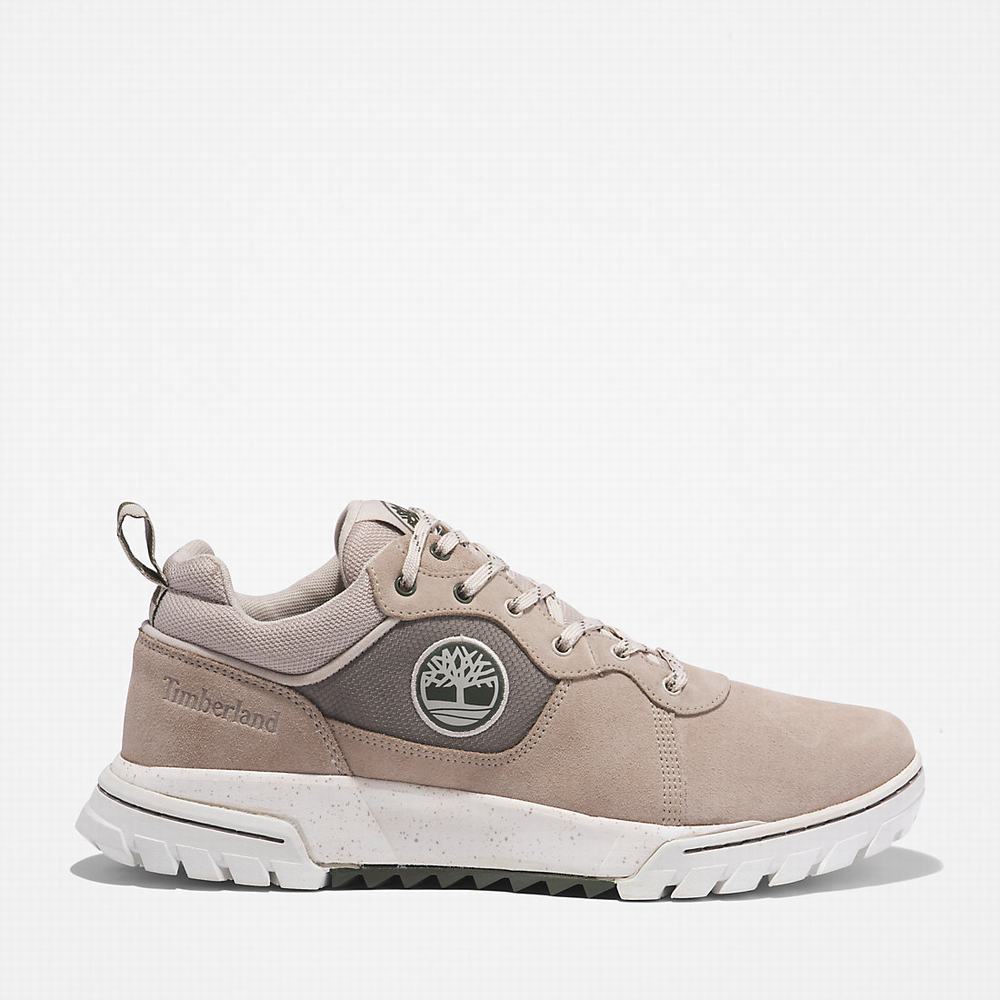 Pánské Tenisky Timberland Boulder Trailové Béžový | TI45927-790