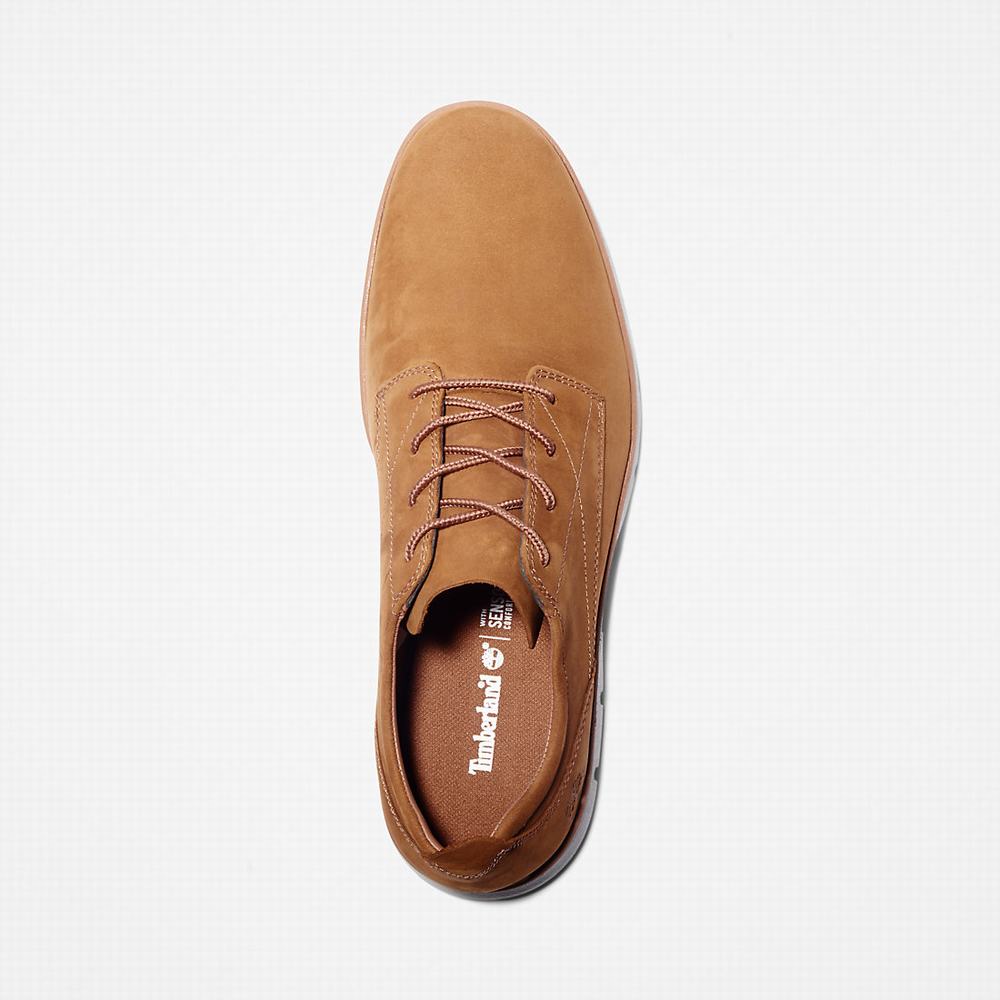 Pánské Tenisky Timberland Bradstreet Hnědé | TI48965-946