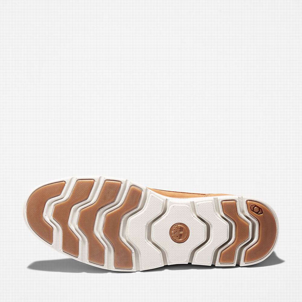 Pánské Tenisky Timberland Bradstreet Hnědé | TI48965-946