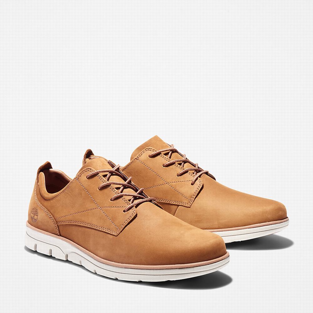 Pánské Tenisky Timberland Bradstreet Hnědé | TI48965-946