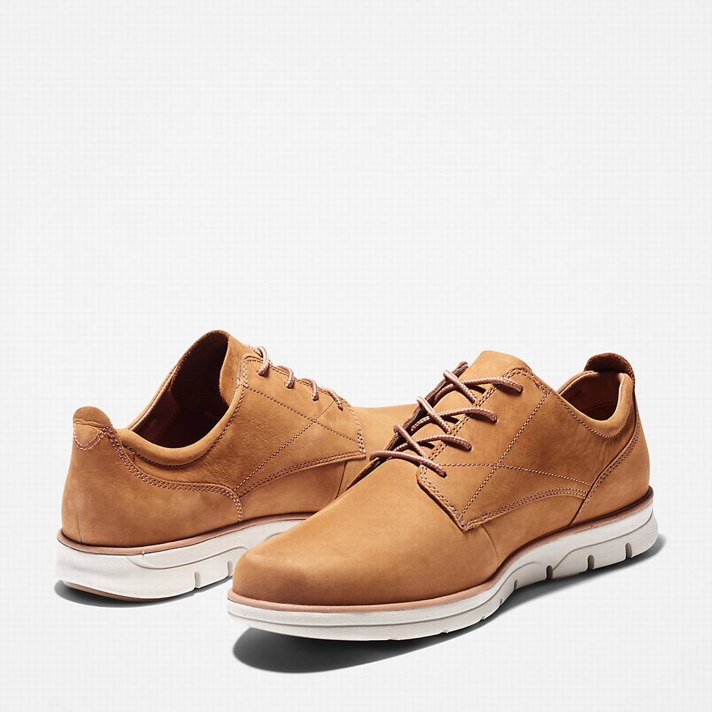 Pánské Tenisky Timberland Bradstreet Hnědé | TI48965-946