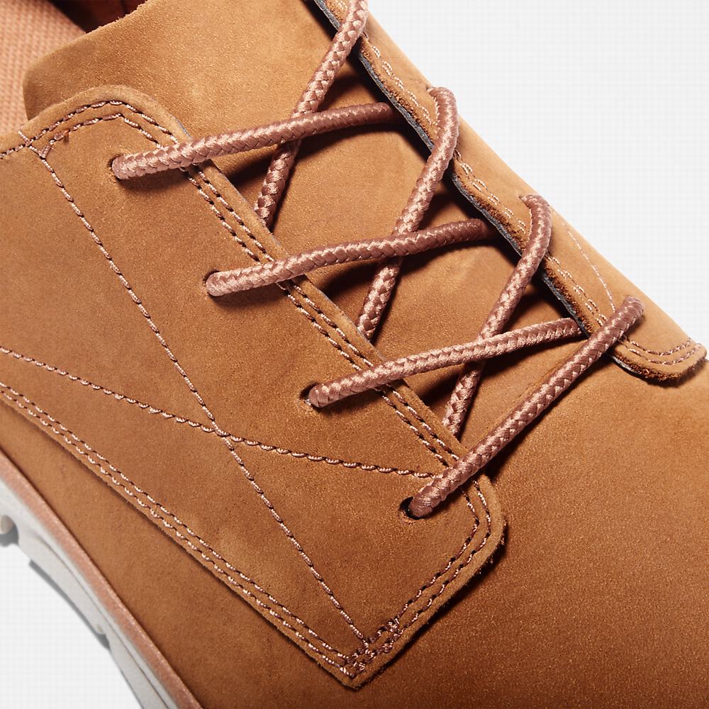 Pánské Tenisky Timberland Bradstreet Hnědé | TI48965-946